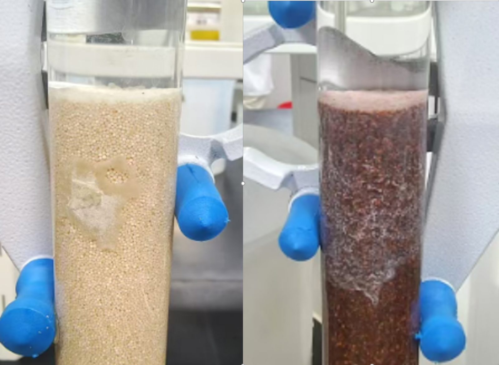 人生就是博·(中国区)官方网站