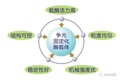 ǲ(й)ٷվz6οøZhengguang immobilized enzyme carrier