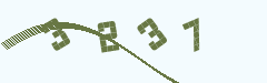 ֤ˢ
